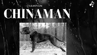 Champion Chinaman Saga