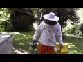 Keeping Honey Bees - The Honey Harvest 1 - Setting up The Hive