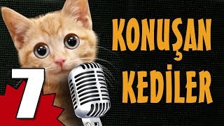 Konuşan Kediler 7 - En Komik Kedi ları