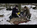 Wolves In Chernobyl Dead Zone