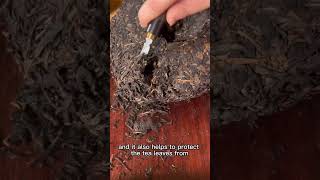 Aged Puer Tea