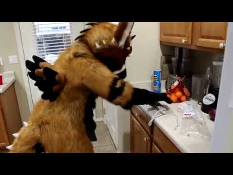 Fursuit - Telephone makes Crash a Pizza!