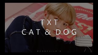 Mv Txt 투모로우바이투게더 - Cat & Dog Easy Lyrics