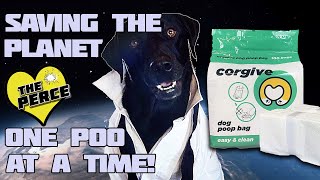 Our Dog Tries Corgive Poop Bags
