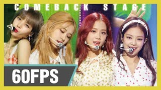 60FPS 1080P | BLACKPINK (블랙핑크) - Don't Know What To Do Show! Music Core 20190406