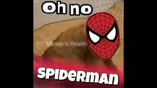Oh No Spiderman Meme