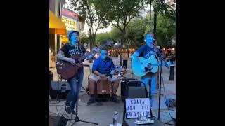 koala and the Golden Boy - Pancakes and Wine (live at Ralston's Goat)