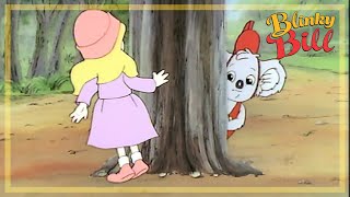 Blinky Bills Zoo - Episode 10 - The Adventures Of Blinky Bill