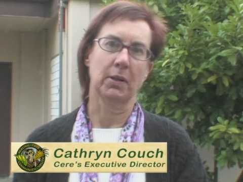Cere's Community Project Sebastopol California New Building Project With Community Builders Group