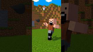 #Animation #Minecraft #Mem