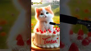 Happy Birthday Tantan Happy Birthday Song With Names Adorable Cute Cat