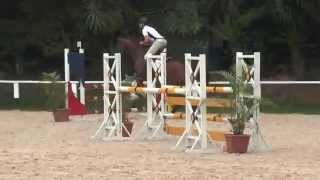 E3I Darlene Das Umburanas - Darco X Gianduia Casper X Le Grannus - Copa Santo Amaro 22112014
