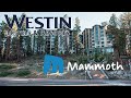 Hotel and Room Review | Westin Manache Resort | Mammoth Lakes California | Mountain Biking Snowboard