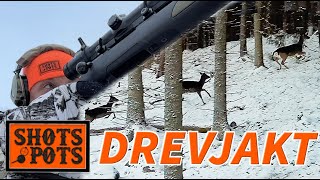 ISKALL KLÖVVILTSJAKT I SÖRMLAND- Lubbe jagar dovhjort
