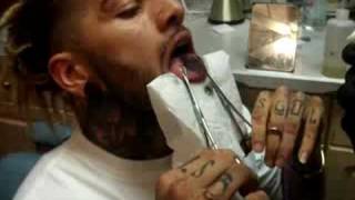 Mercy Tats Dazes Tongue