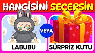 Hangisini Tercih Edersin?Sürpriz Hediye Kutusu Özel Labubu, Okul Eşyaları Oyuncaklar