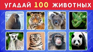 Угадай Животное За 3 Секунды  🐱🐺🐷🐮🦝 Угадай 100 Животных