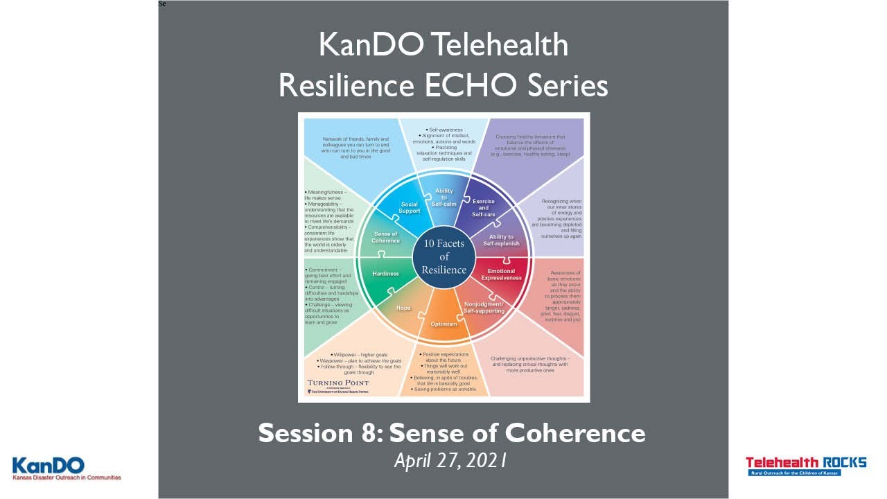 Resilience ECHO