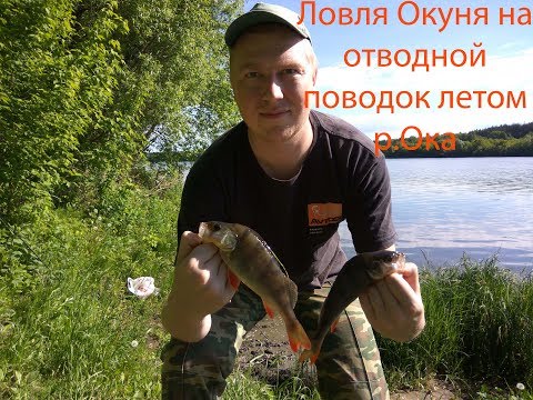 съедобная резина на отводной поводок съедобная резина на отводной поводок