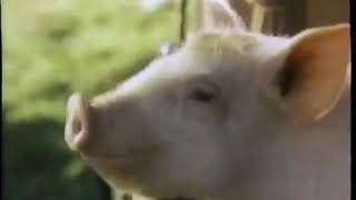 Babe Vhs Home Video Release Trailerad - April 2, 1996