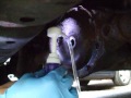 CAMBIO DE ACEITE DE DIFERENCIAL (REAR DIFFERENTIAL OIL CHANGE)