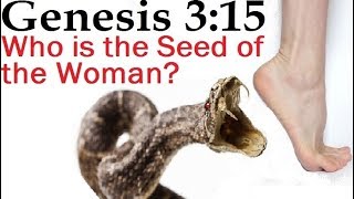 Video: In Genesis 3:15 and Galatians 3:16, Apostle Paul mistranslates 'seeds' plural to 'seed' for Jesus - Michael Skobac