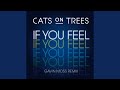 If You Feel (Gavin Moss Remix) If You Feel (Gavin Moss Remix)