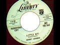 Bobby Lonero - Little Bit.wmv
