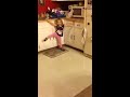 Mackenzie's 1st experience with tap shoes