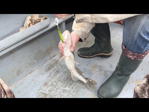 рыбалка в харабали 2017 году в марте сайт рыбалка в харабали 2017 году в марте сайт