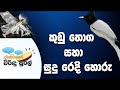 Janahithage Virindu Sural 22/02/2019