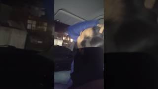 Zor Bela Unutabildim Herşeyi Genç Kafayi Yiyor