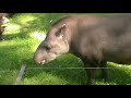 Trip To Öland Zoo And Amusement Park Part03