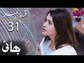 Bhai - Episode 31 | Aplus Drama,Noman Ijaz, Saboor Ali, Salman Shahid | C7A1O | Pakistani Drama
