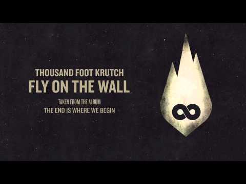 Fly On The Wall Video