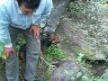 caza de chancho del monte en el depto EL ALTO CATAMARCA ARGENTINA