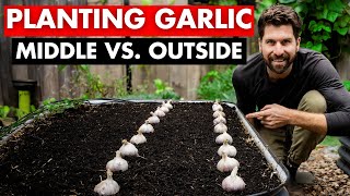 Does Garlic Grow Bigger In The Middle Or Outside Of A Raised Bed?