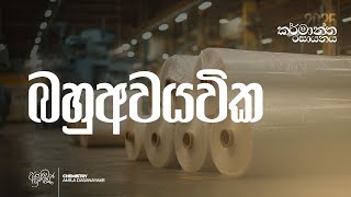 2025 කරමනත රසයනය - Day 09 Amila Dasanayake