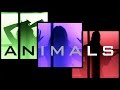 Animals - Maroon 5 | Ali Brustofski & PopGun Cover (Music Video)