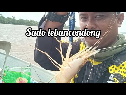 Alhamdulillah sado leban condong sungai rompin pahang 👍