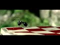 Online Movie Minuscule: Valley of the Lost Ants (2013) Online Movie