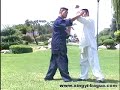 形意Bagua