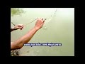Memancing Ikan Mujair Raksasa images Memancing Ikan Mujair Raksasa