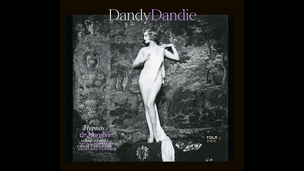 dandy dandie