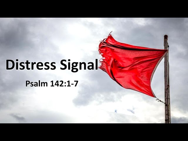 Sermons by Pastor Peter Rochelle