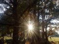 Foto pequena mes photos avec mon telephone Sony Ericsson w595s