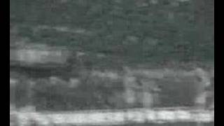 y6n1F3XZLGo Video Image