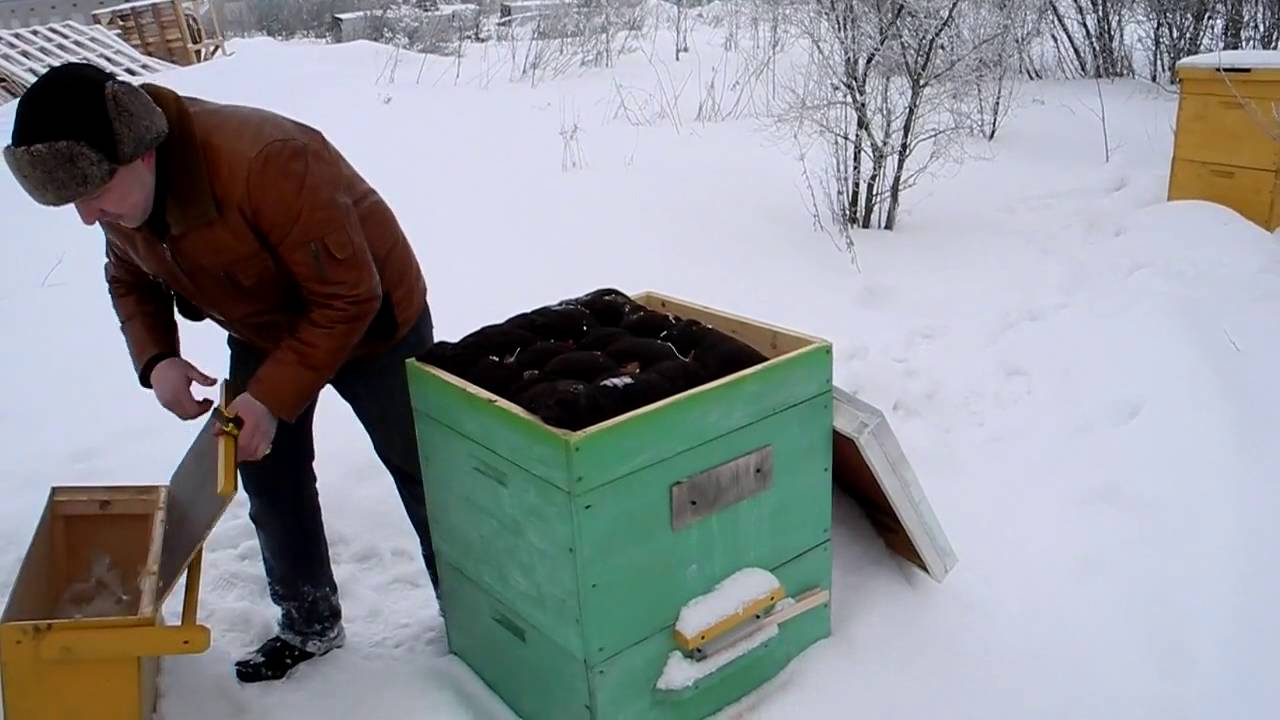 Все для пчеловодов своими руками Все для пчеловодов своими руками