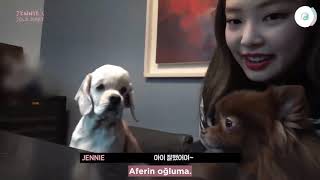 JENNIE - 'SOLO' GÜNLÜĞÜ | BÖLÜM 4-3  [Türkçe Altyazı]