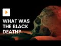 What Was The Black Death?